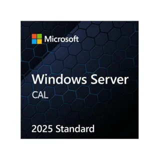 WINDOWS SERVER CAL 2025 ENGLISH 1PK DSP OEI 5 CLT USER CAL